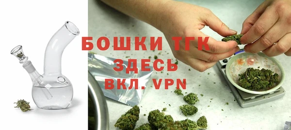 первитин Осинники