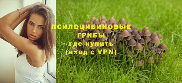 СК Абаза