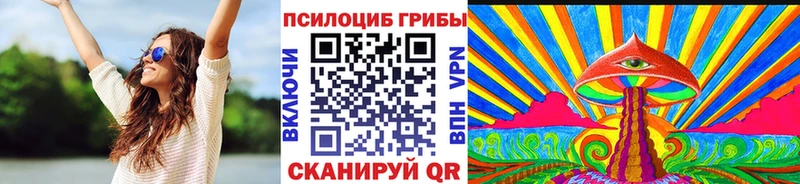Галлюциногенные грибы Psilocybe  Электросталь 