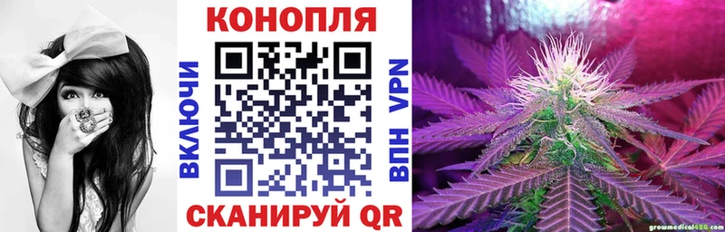 mega как зайти Электросталь Каннабис OG Kush